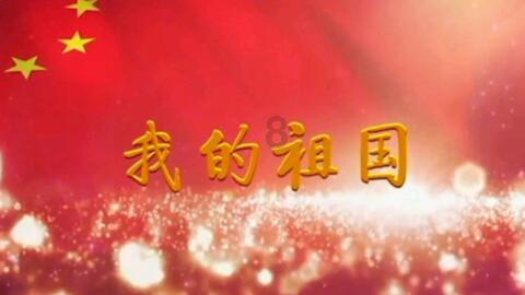 济宁公交将开通春节乐游专线